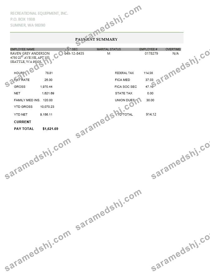 Recreational equipment LLC pay stub in PDF and WORD format